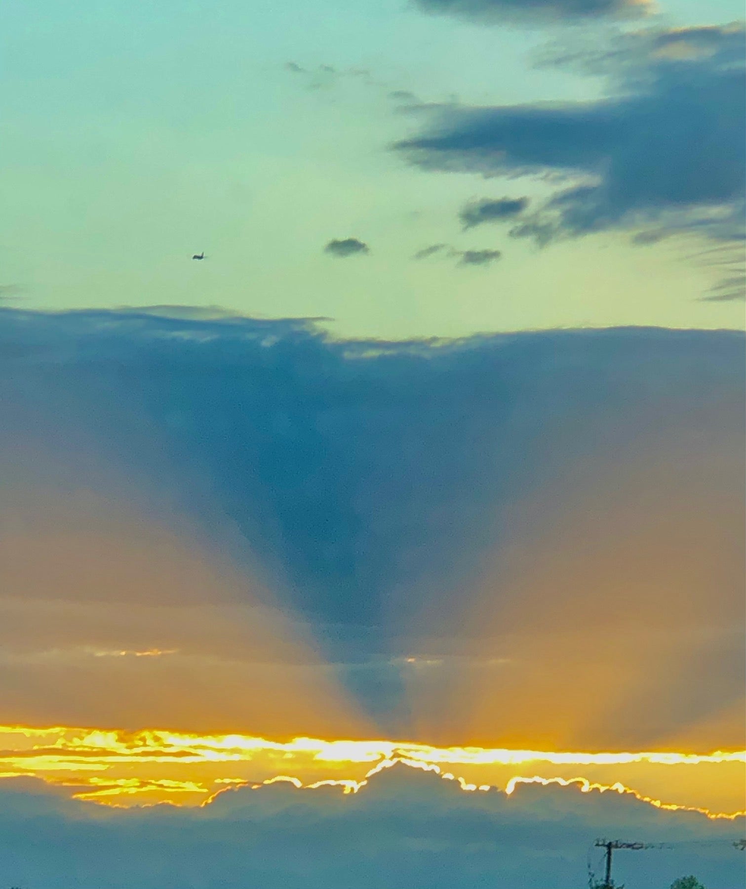 Sensational Sunshine EXTRAUNORDINARY Art & Books